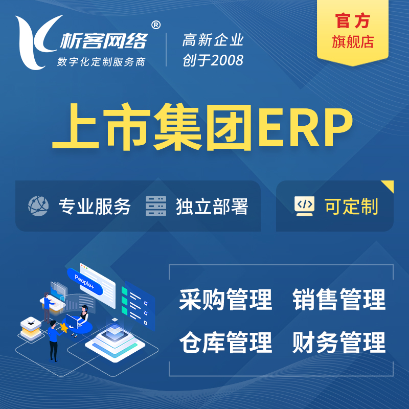 南京上市集团ERP软件生产MES车间管理系统