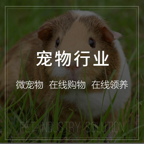 物流系统在南京冷链运输中的监控技术